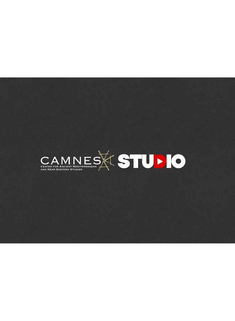 CAMNEStudio (on-line)