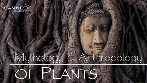 Corso: Mythology & Anthropology of Plants